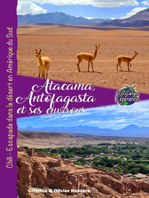 cover image of Atacama, Antofagasta et les environs